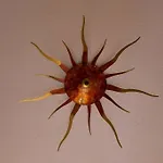 Sonne Auf Bio-hof 公寓 梅拉诺