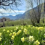 Sonne Auf Bio-hof *