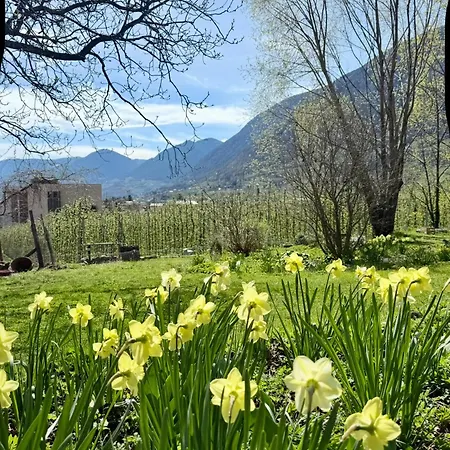 Sonne Auf Bio-hof *