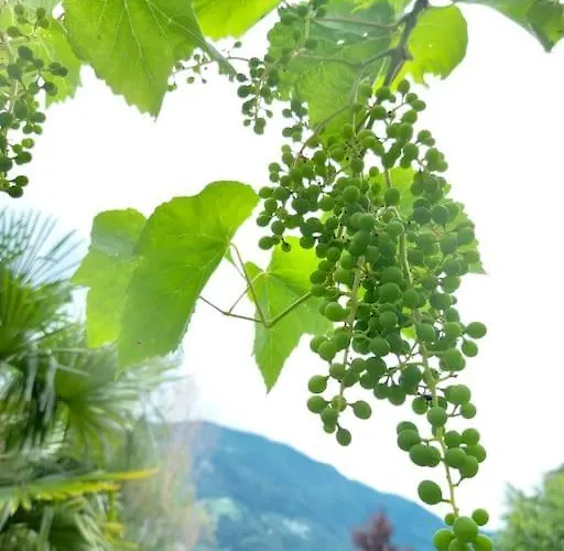 Daire Sonne Auf Bio-hof *