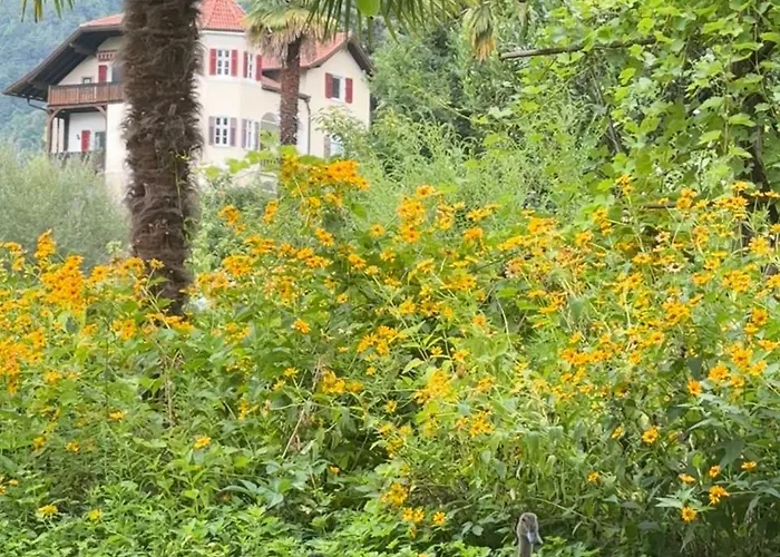 Sonne Auf Bio-hof Lejlighed *